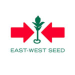 east-west seed
